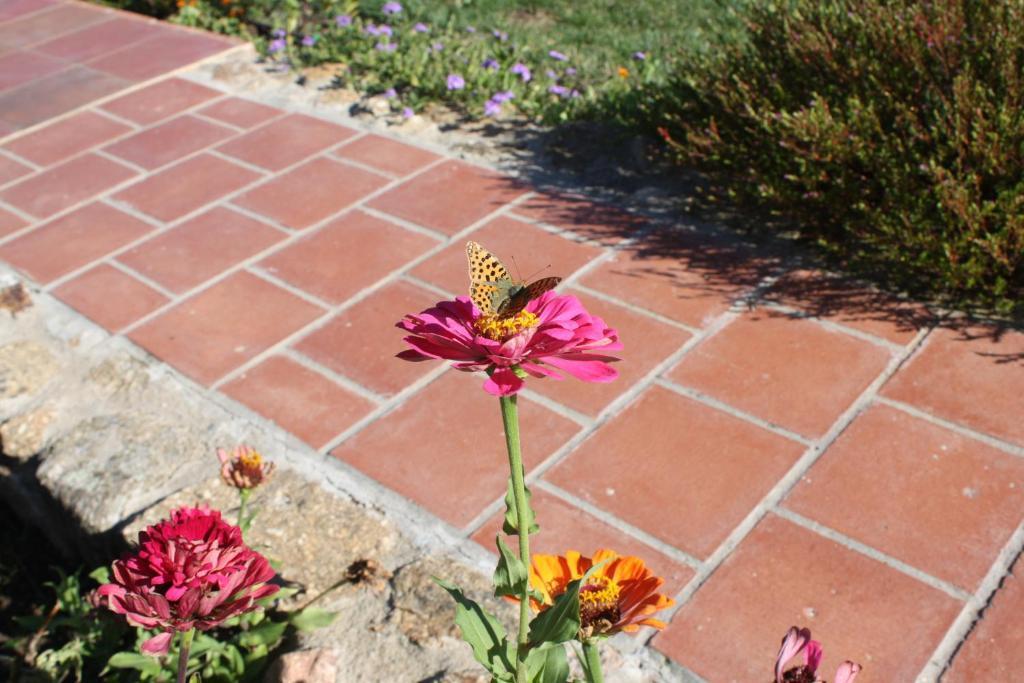 Apartamentos El Jardin Del Poeta Guijo de Granadilla Luaran gambar