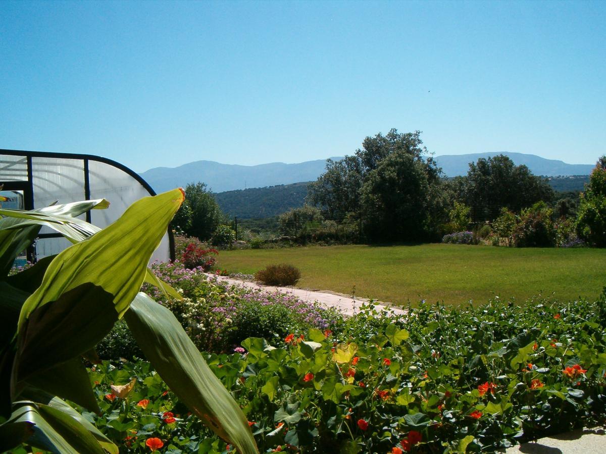 Apartamentos El Jardin Del Poeta Guijo de Granadilla Luaran gambar